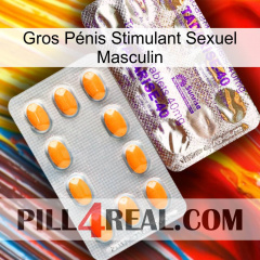Gros Pénis Stimulant Sexuel Masculin new12